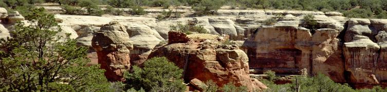 Sand Canyon Area, Canyons of the Ancients National Monument, Colorado